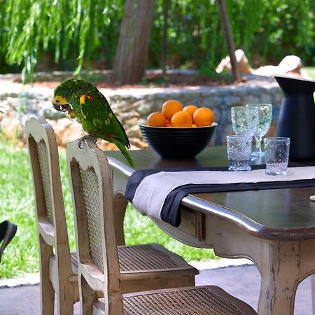 Sunvillage Malia Boutique Hotel And Suites Экстерьер фото