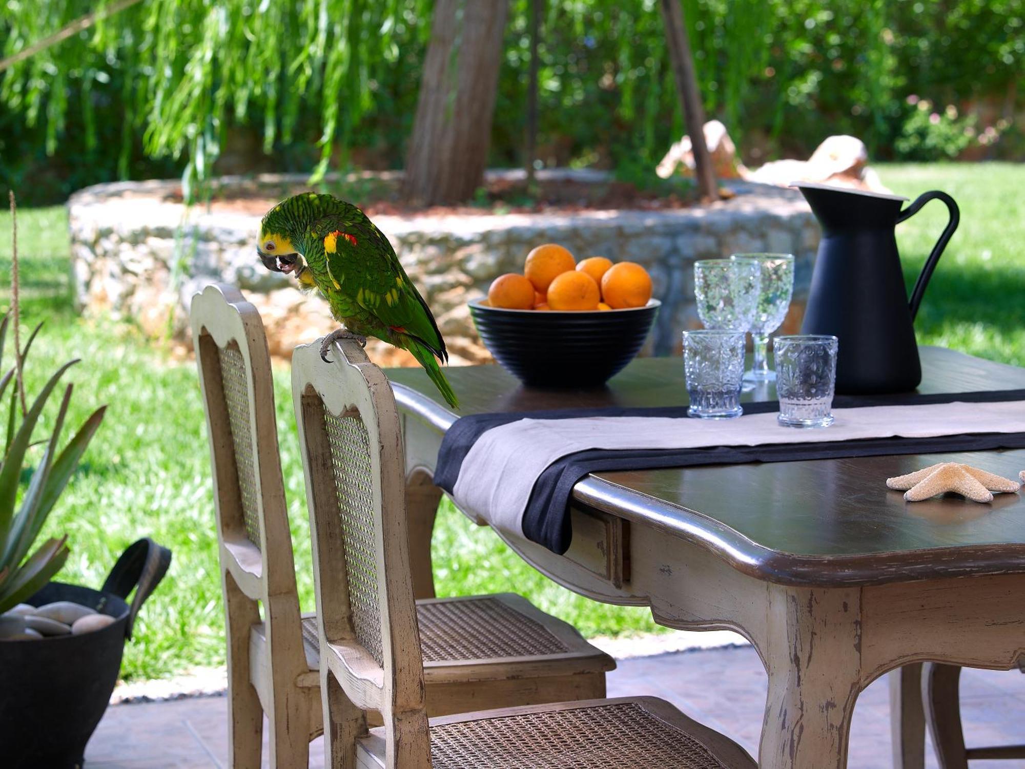 Sunvillage Malia Boutique Hotel And Suites Экстерьер фото