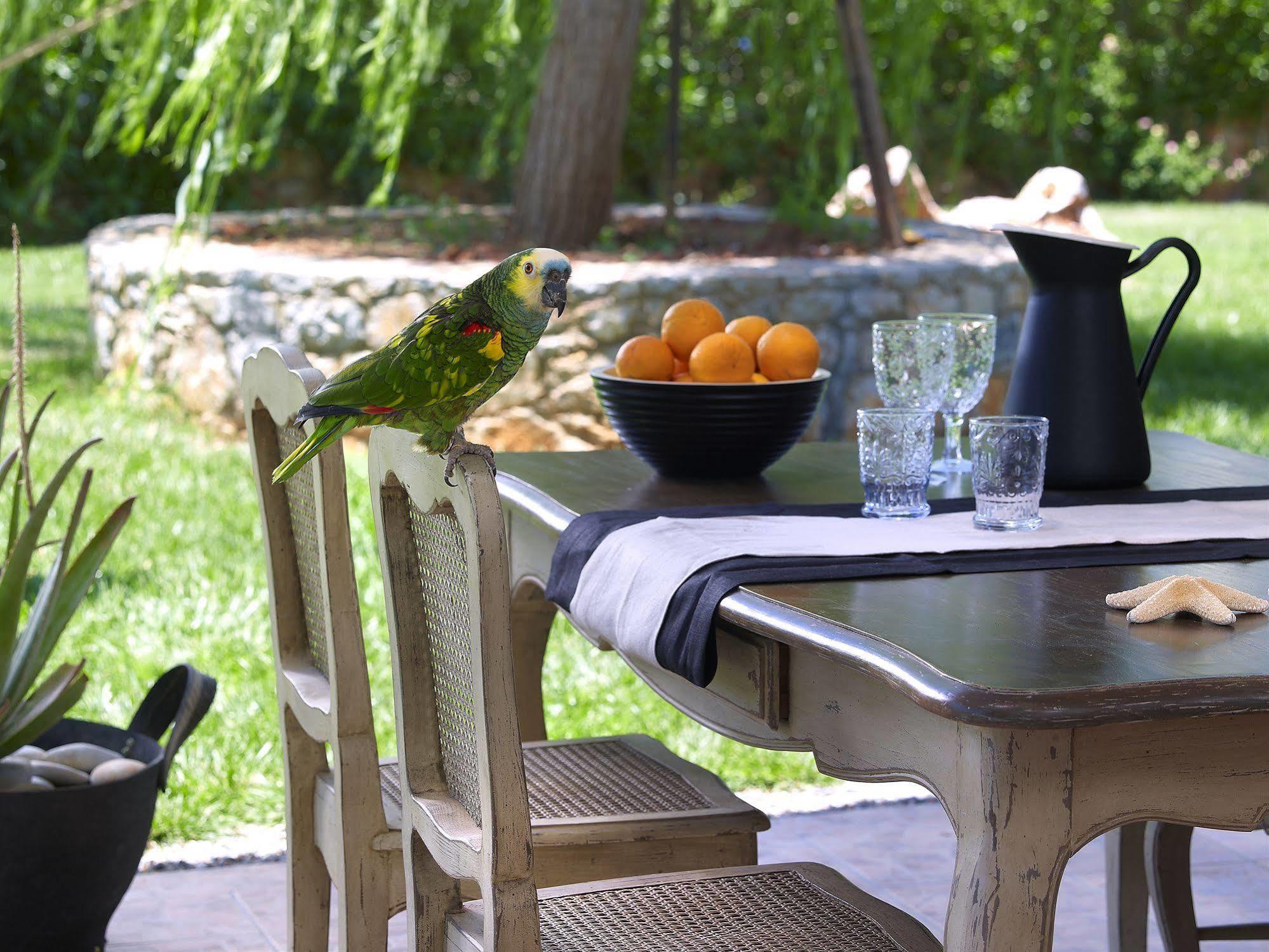 Sunvillage Malia Boutique Hotel And Suites Экстерьер фото
